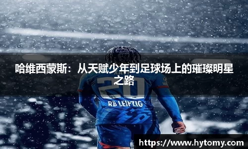 星空体育网站入口