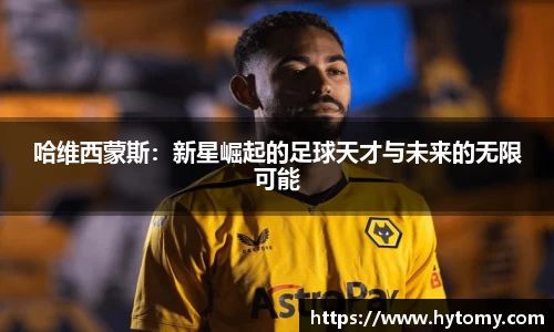 星空体育网站入口